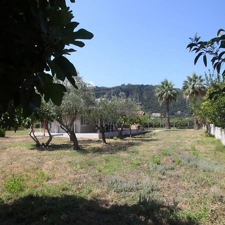 Olga Home Agios Ioannis Lefkada - Lefkada Bnb Eksteriør bilde
