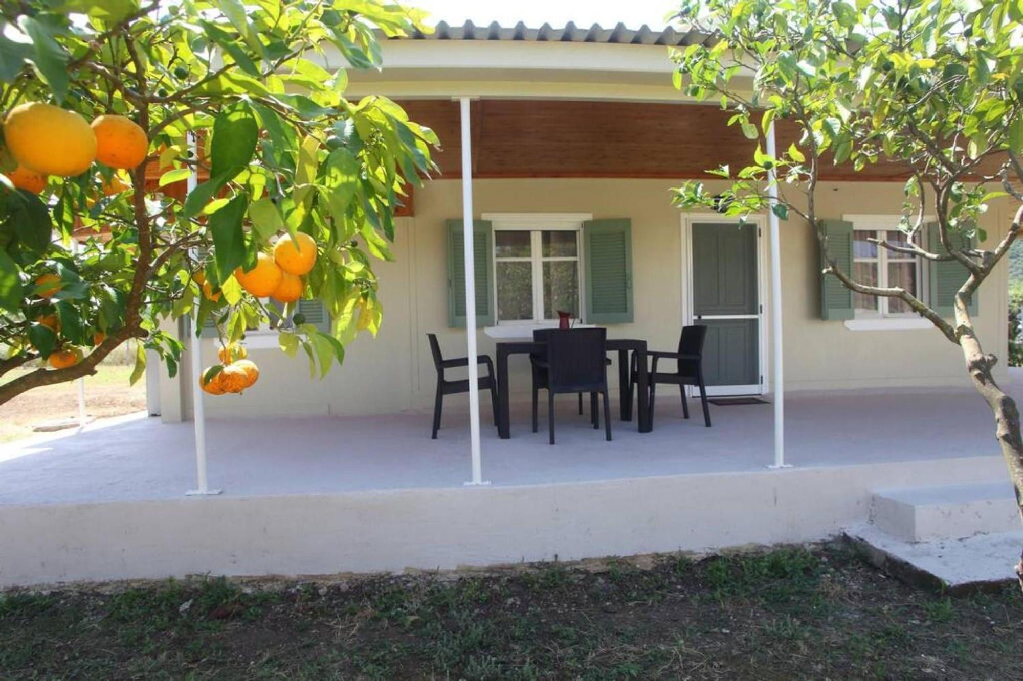 Olga Home Agios Ioannis Lefkada - Lefkada Bnb Eksteriør bilde