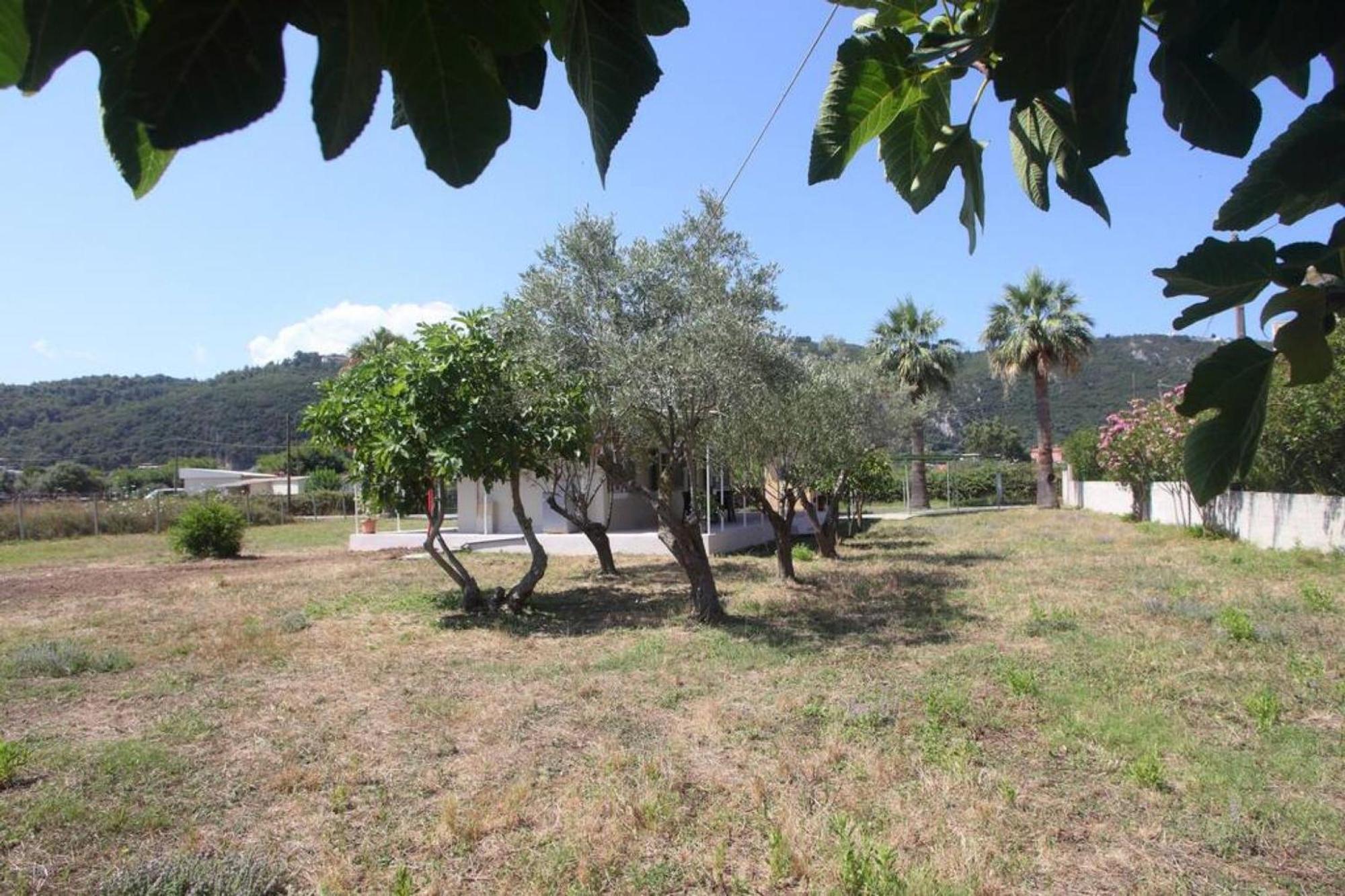 Olga Home Agios Ioannis Lefkada - Lefkada Bnb Eksteriør bilde