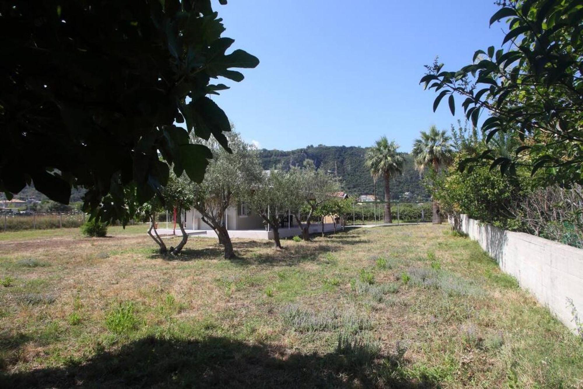Olga Home Agios Ioannis Lefkada - Lefkada Bnb Eksteriør bilde